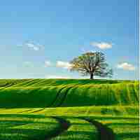 css3实‍战‌手‍册‍第​3版​